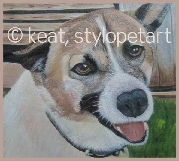 oil pet portraits 