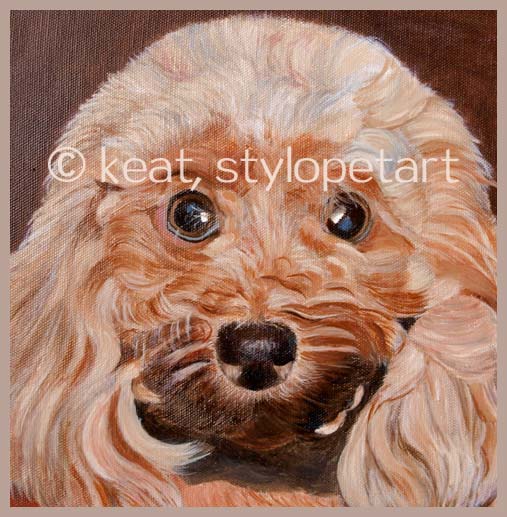 oil pet portraits